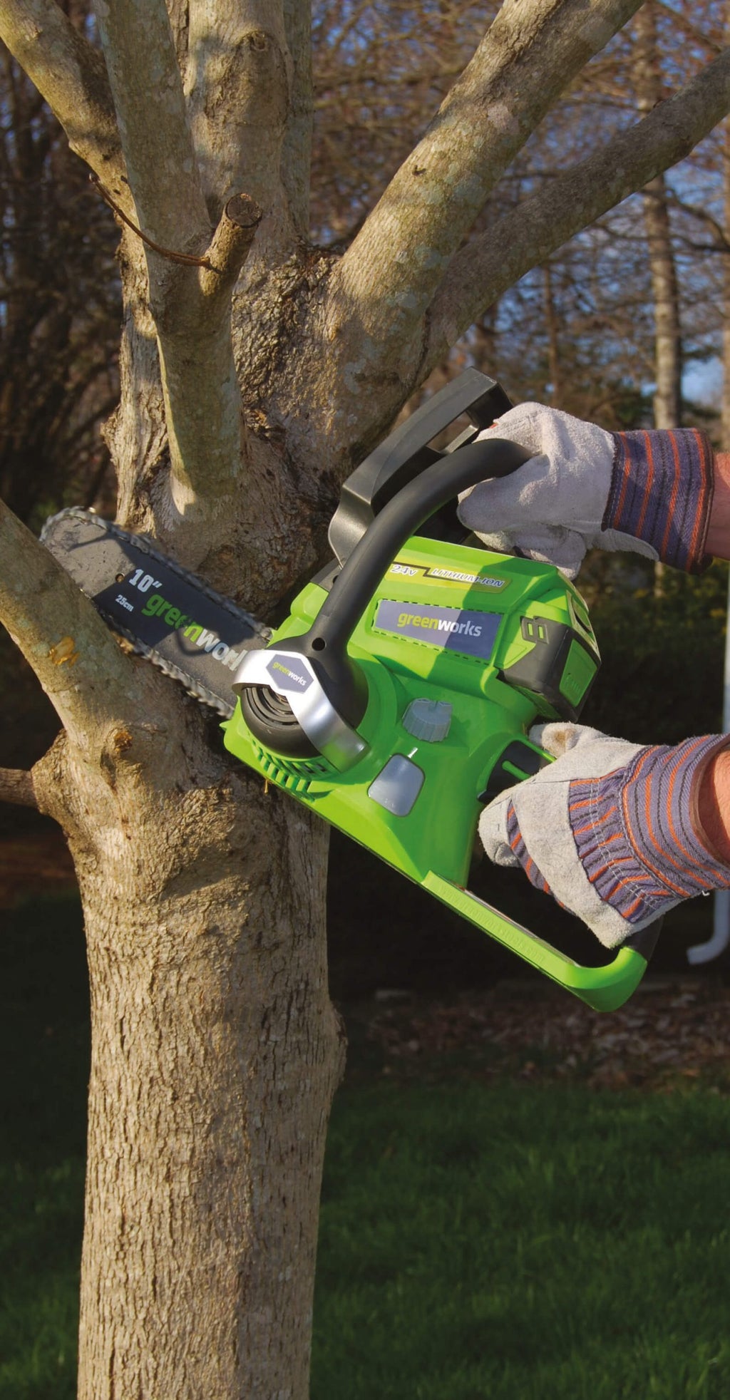 24V 25cm Chainsaw