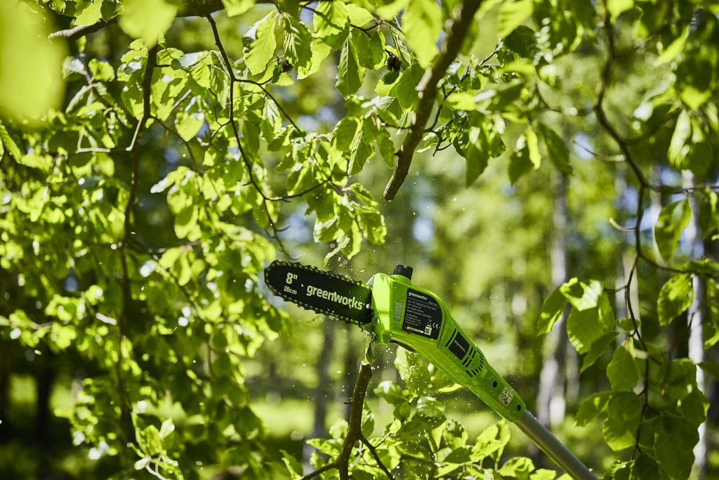 24V 20cm Cordless Pole Saw