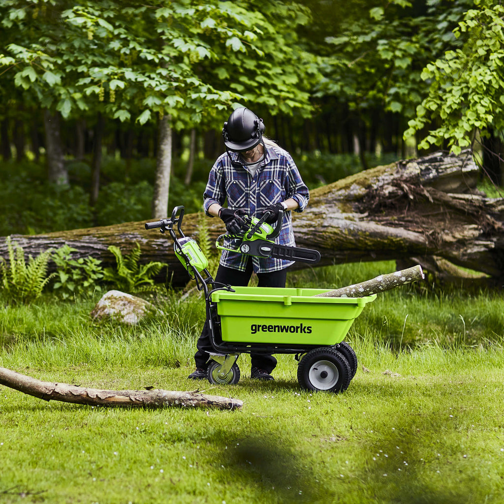 40V 30cm Chainsaw