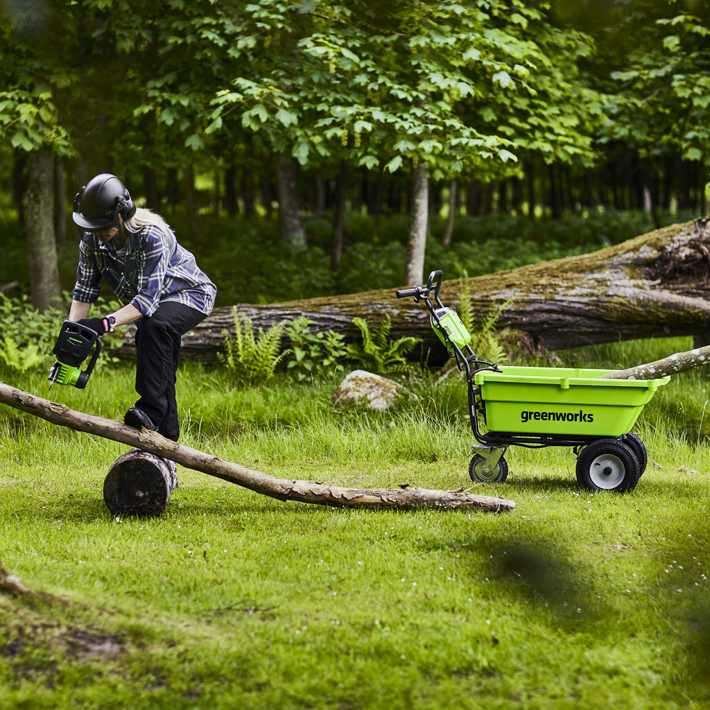 40V 30cm Chainsaw
