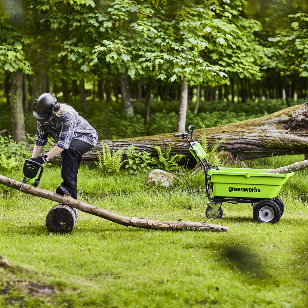 40V 30cm Chainsaw