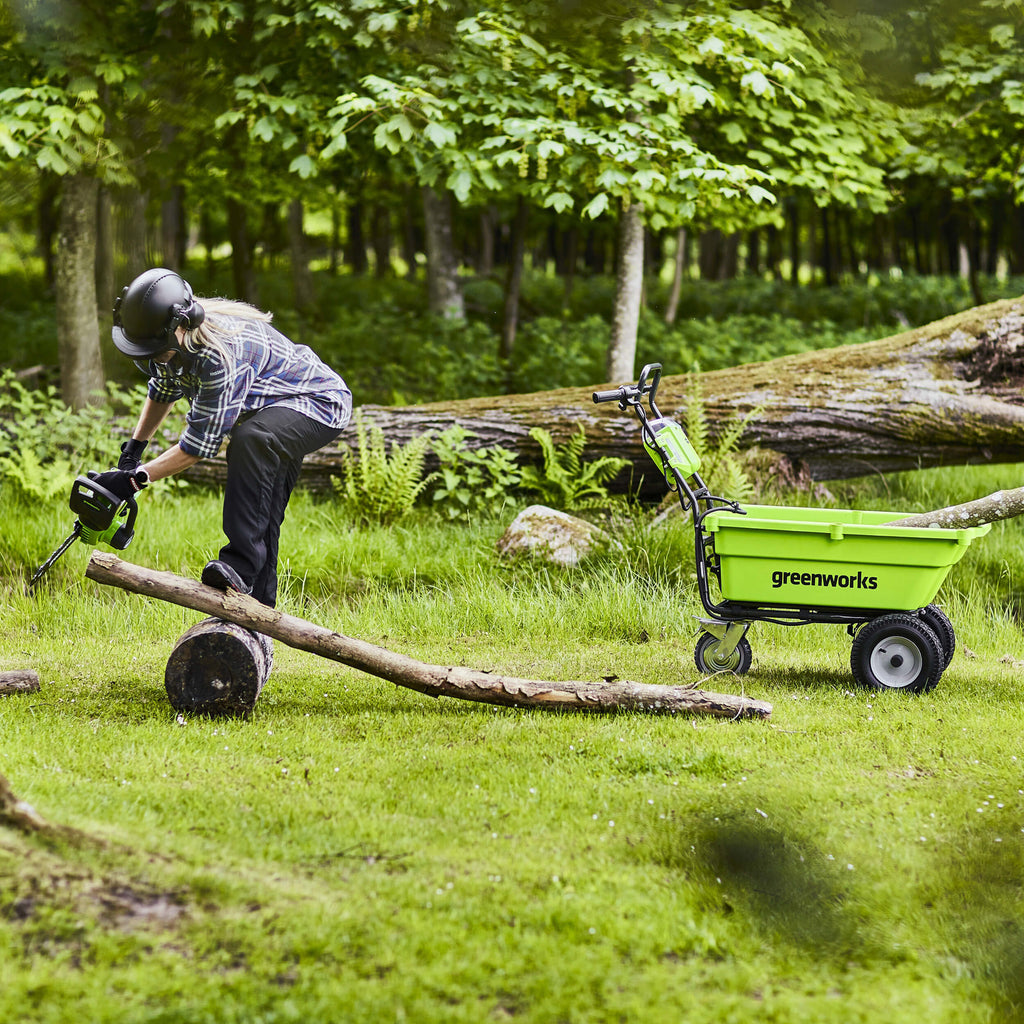 40V 30cm Chainsaw