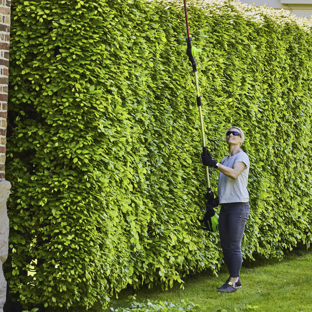 60V DigiPro 51cm (20") Long Reach Cordless Hedgetrimmer