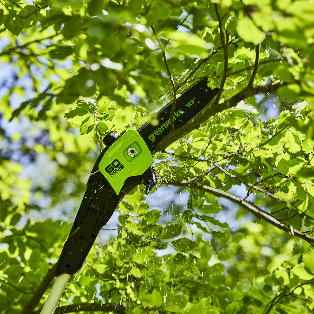 60V DigiPro 25cm (10") Cordless Polesaw