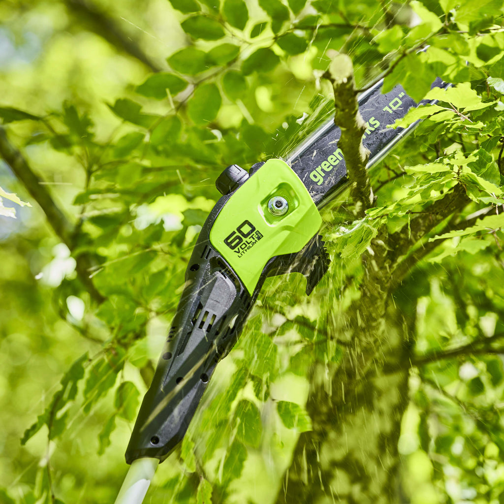 60V DigiPro 25cm (10") Cordless Polesaw